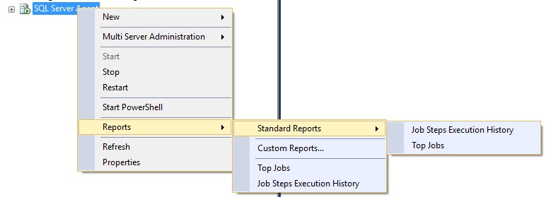SQL Agent Standard Reports